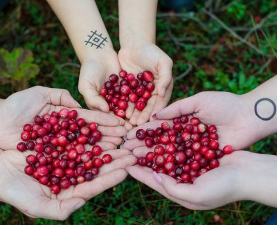 Faire le plein d’anti-oxydants, optez pour le cranberry !