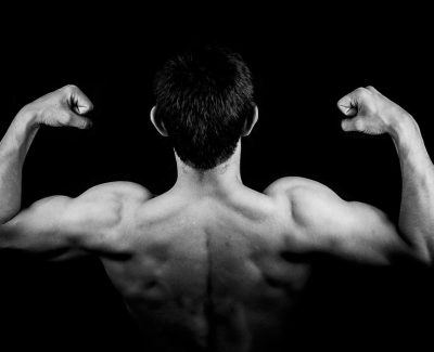 Que manger pour une prise de muscle ?