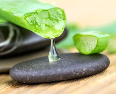 Aloe vera : découvrir ses différentes vertus !