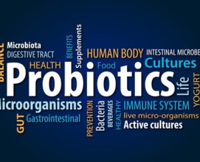 Prébiotiques et probiotiques pour faciliter la digestion !